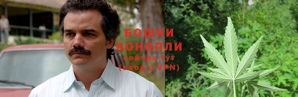 винт Касимов