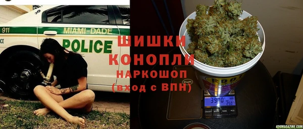 spice Карпинск