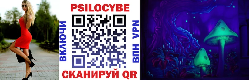 Псилоцибиновые грибы Psilocybe Красновишерск